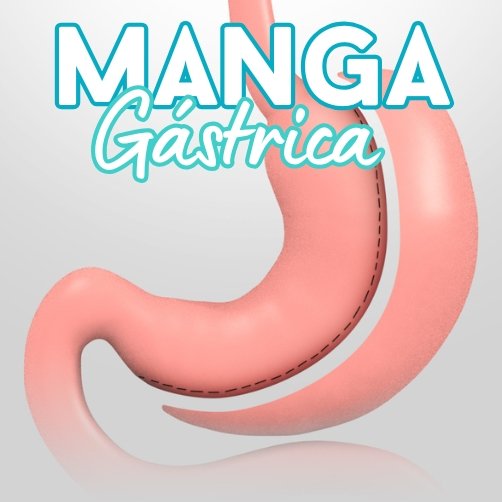 Manga Gástrica