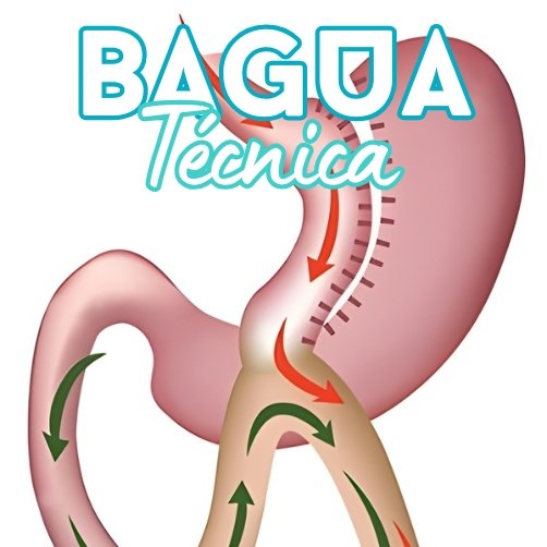 Técnica Bagua